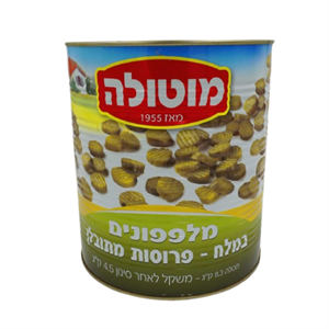 מלפפון במלח פרוסות דקות במלח 9 ליטר