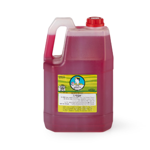 ברד אבטיח 4 ליטר (ראובן) (4)