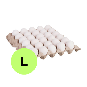 ביצים לארג' 1/30 (12)*