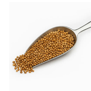 כוסברה שלם 1 ק"ג (ברמן) (10)